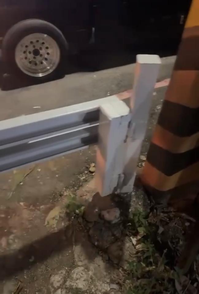 泥作/水泥施工案件圖片