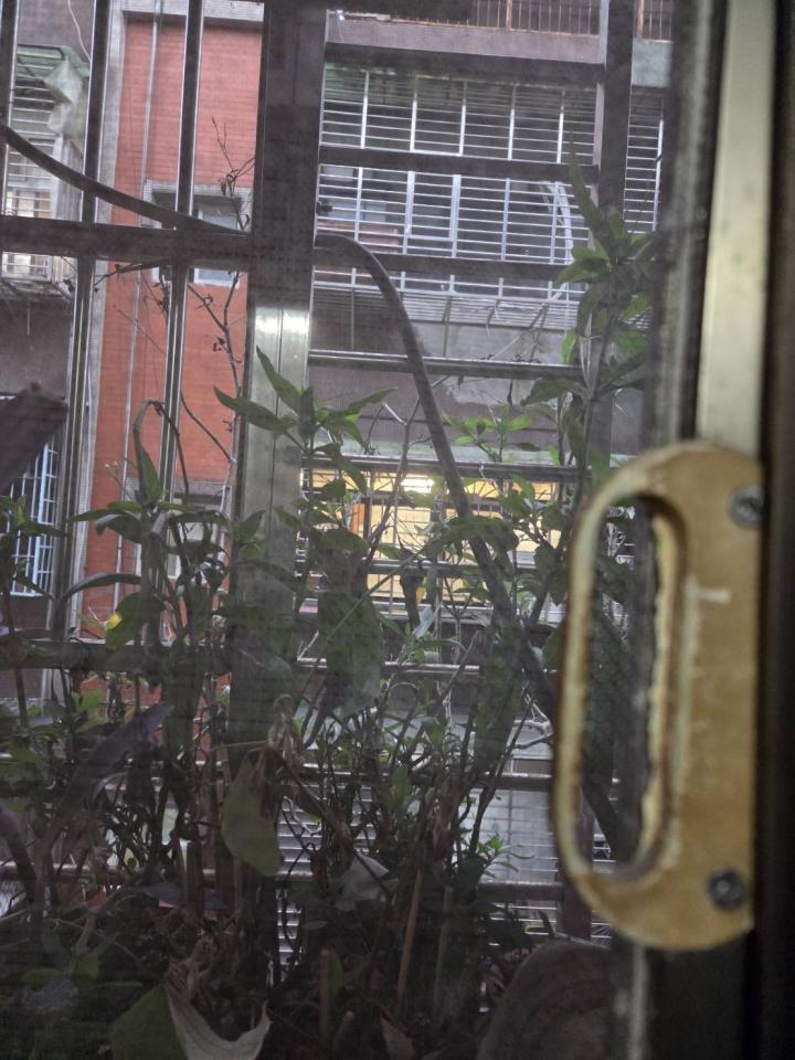 紗窗裝修案件圖片