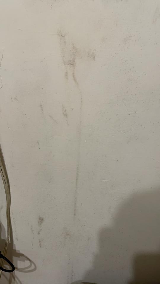 油漆工程案件圖片