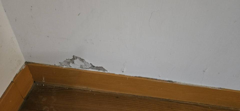 壁癌處理案件圖片