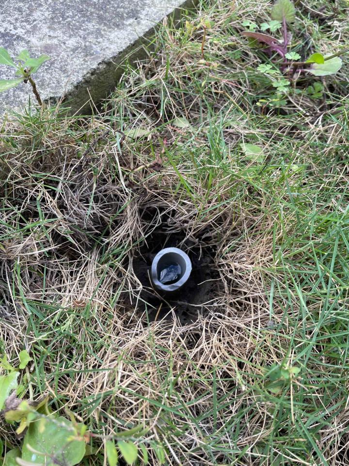 花園自動灑水系統案件圖片