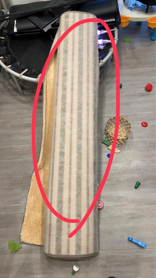 大型垃圾回收案件圖片