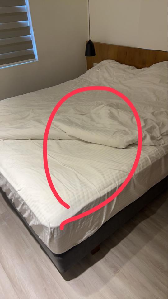 大型垃圾回收案件圖片