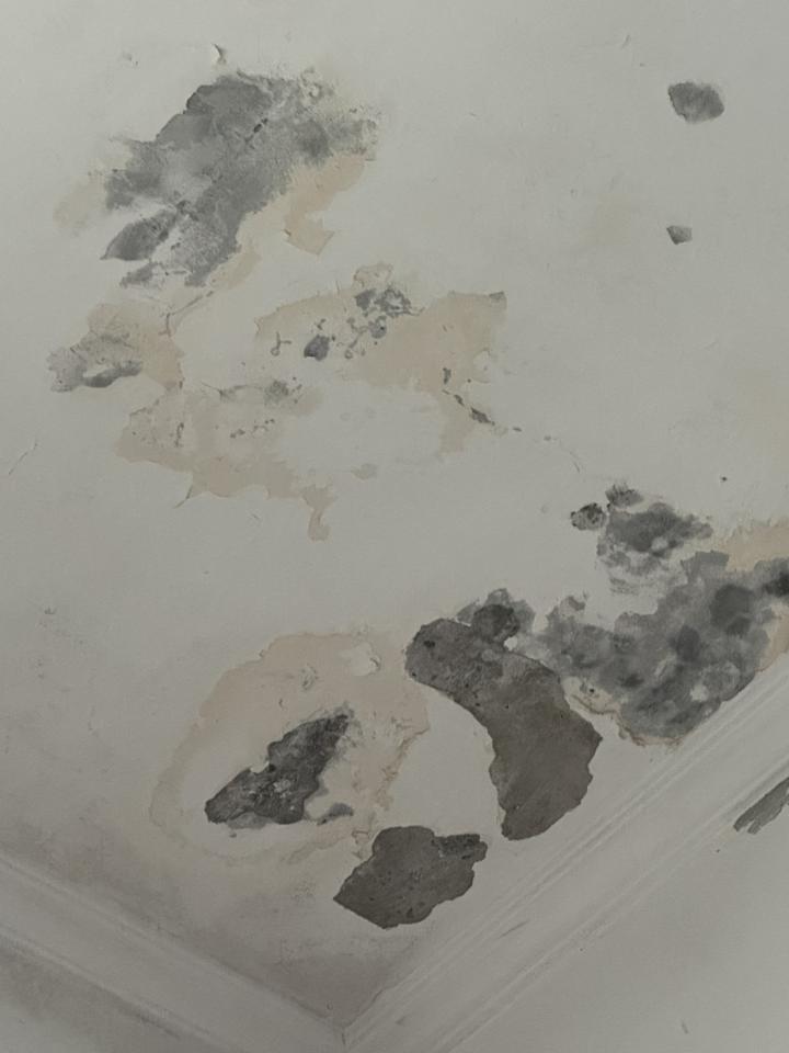 油漆工程案件圖片