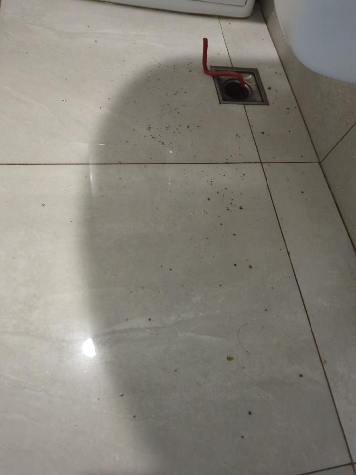 環保工程案件圖片