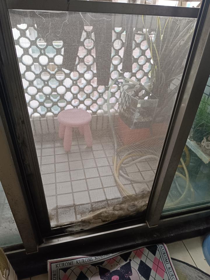 紗窗裝修案件圖片