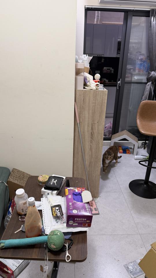 家事服務案件圖片