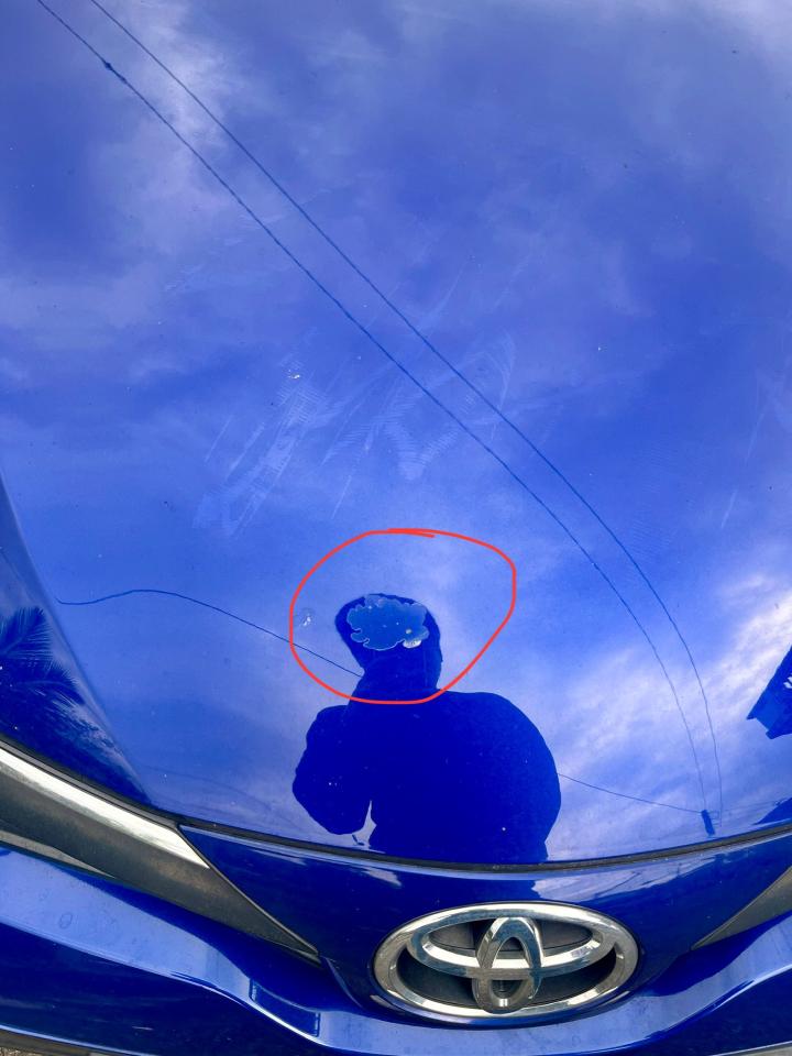 汽車板金烤漆案件圖片