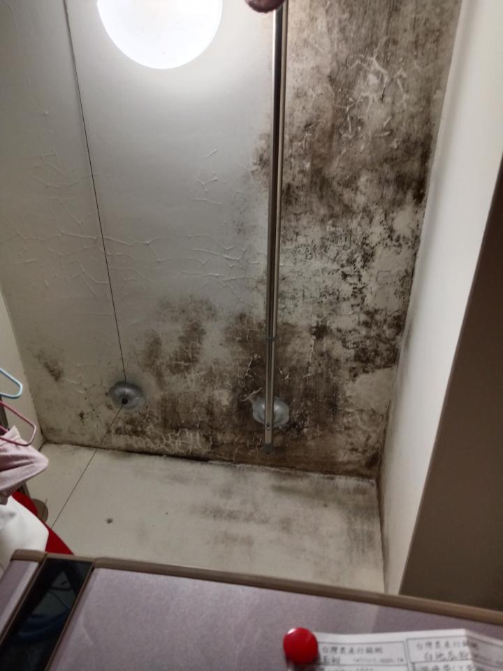 除霉案件圖片