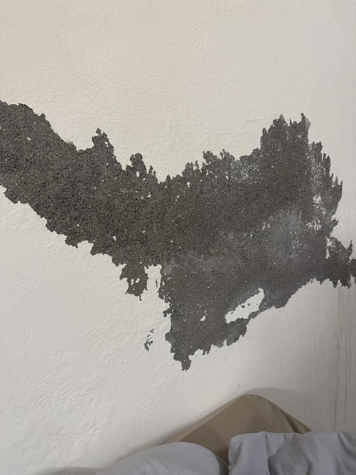 壁癌處理案件圖片