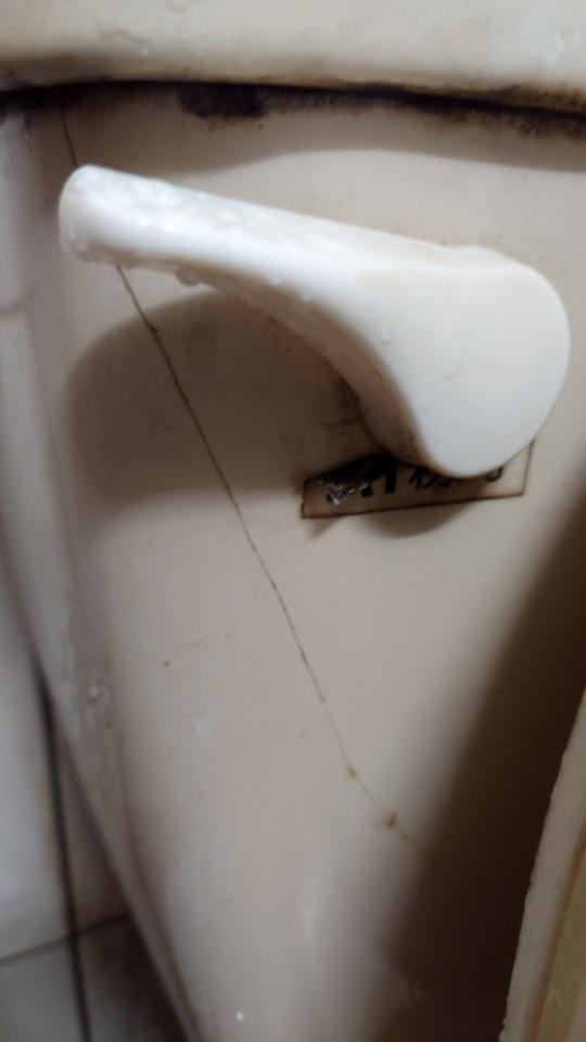 馬桶裝修案件圖片