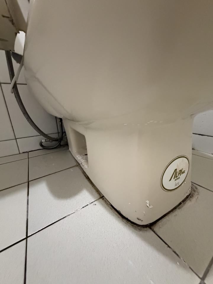 馬桶裝修案件圖片