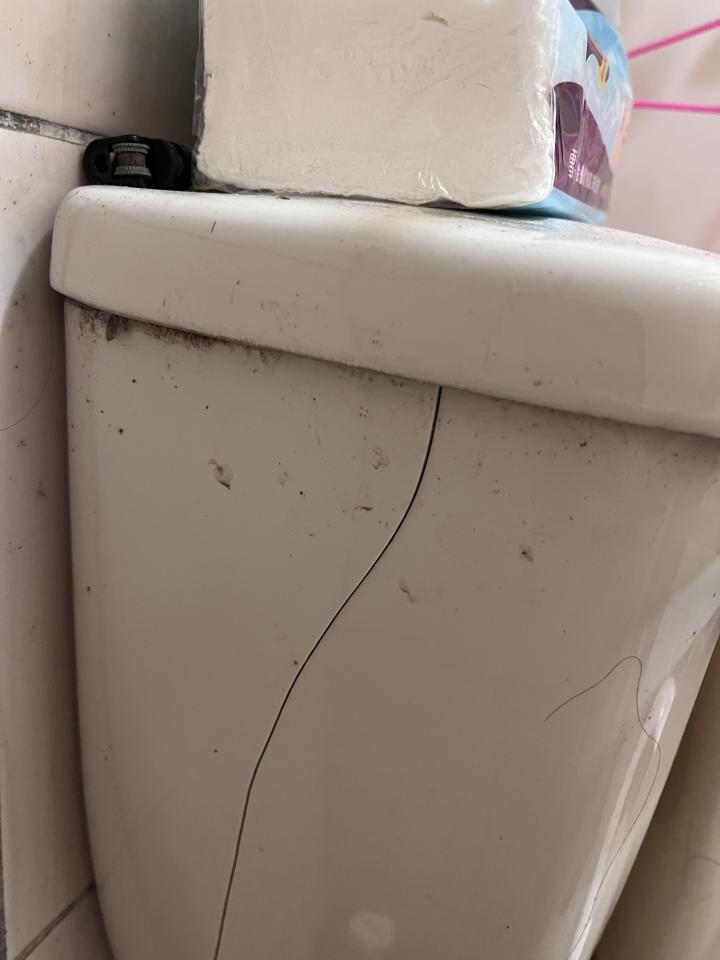 馬桶裝修案件圖片