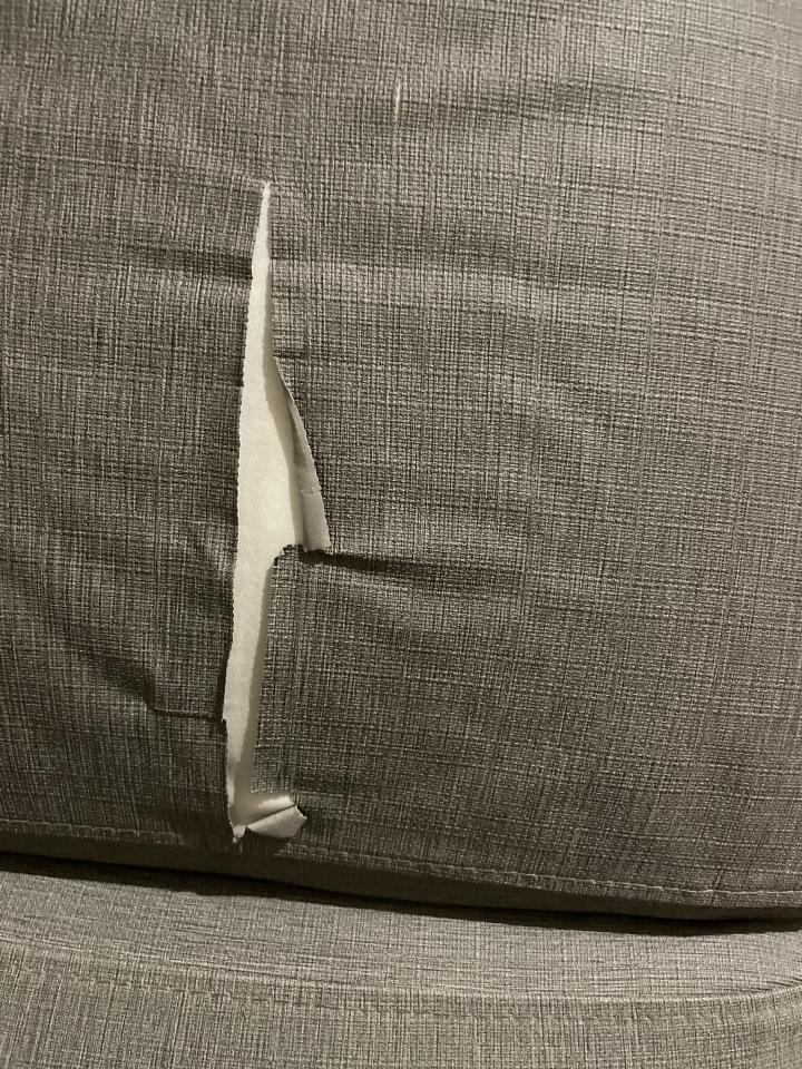 沙發修理案件圖片