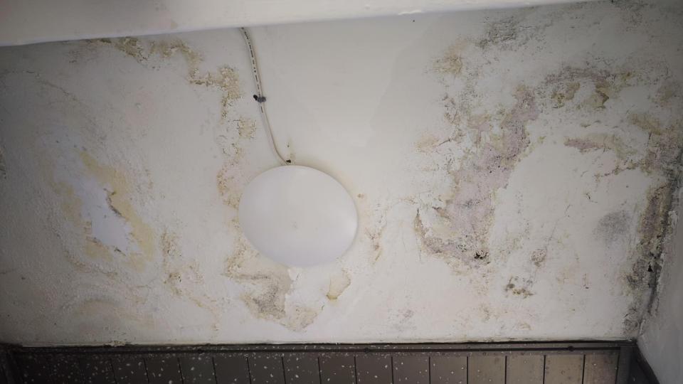 壁癌處理案件圖片