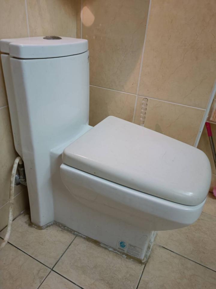 馬桶裝修案件圖片