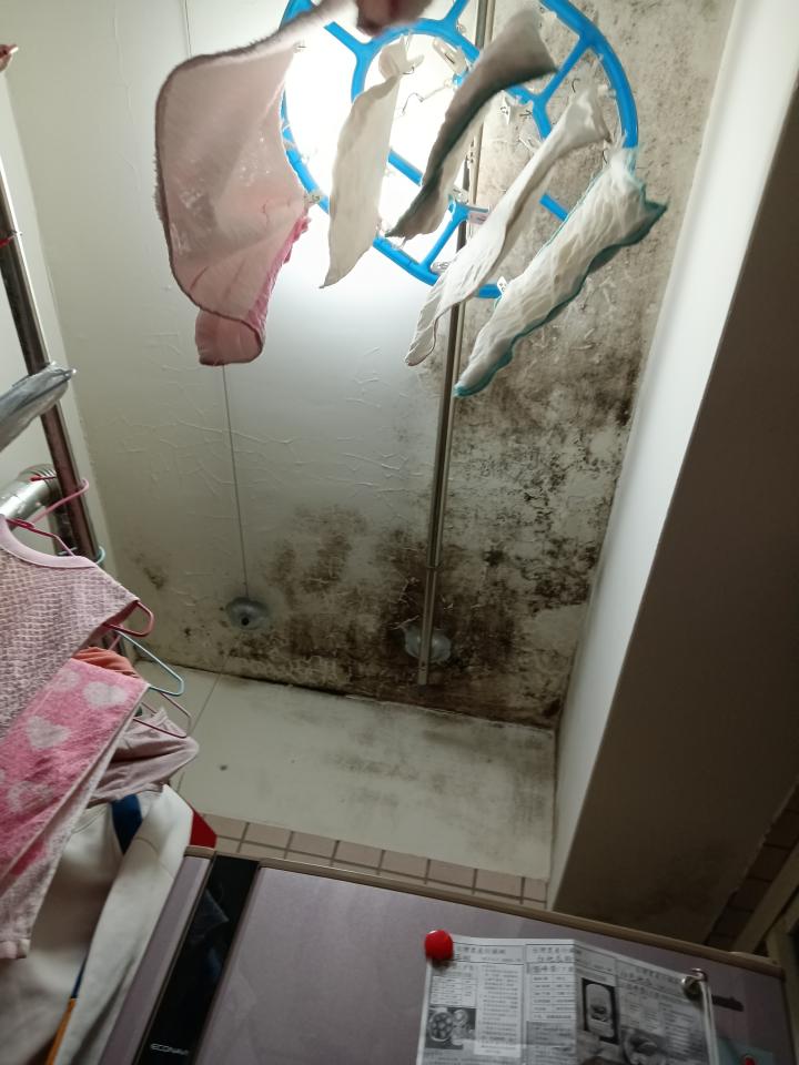 除霉案件圖片