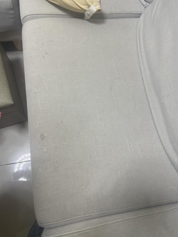 沙發清潔案件圖片