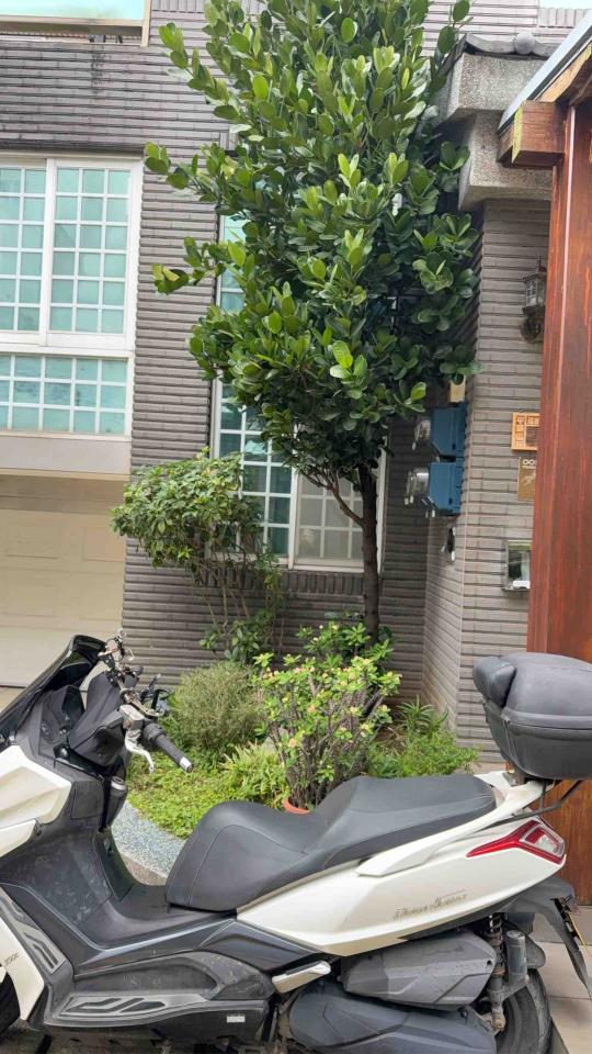 泥作/水泥施工案件圖片