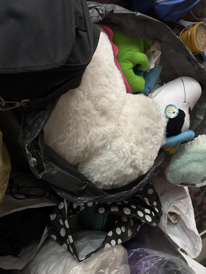 大型垃圾回收案件圖片