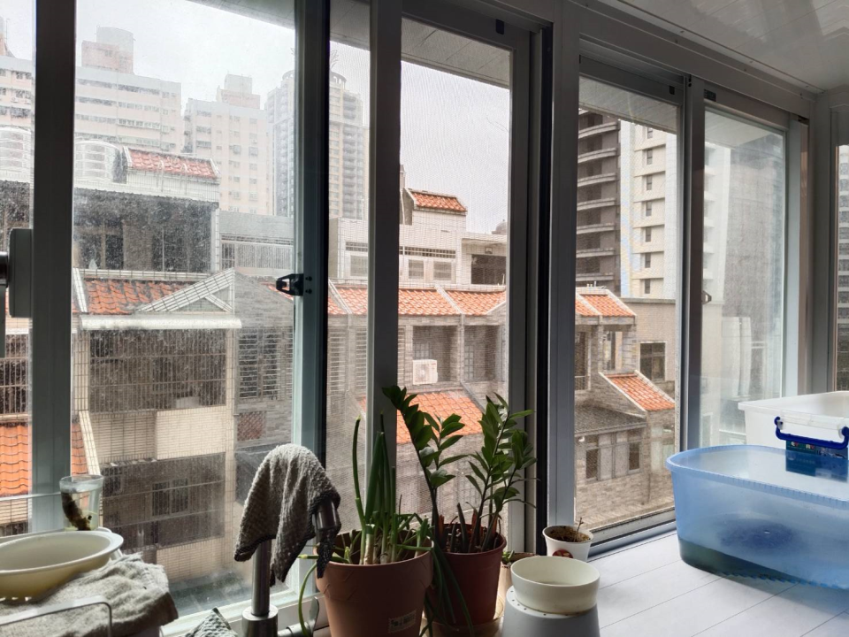 玻璃清潔案件圖片