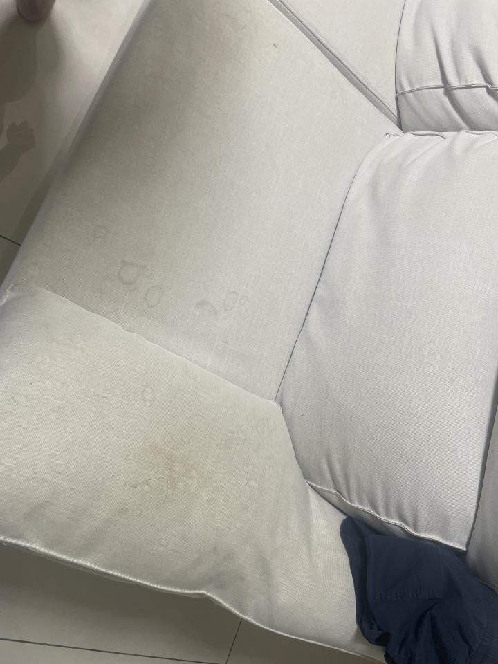 沙發清潔案件圖片