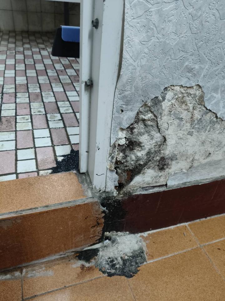 壁癌處理案件圖片