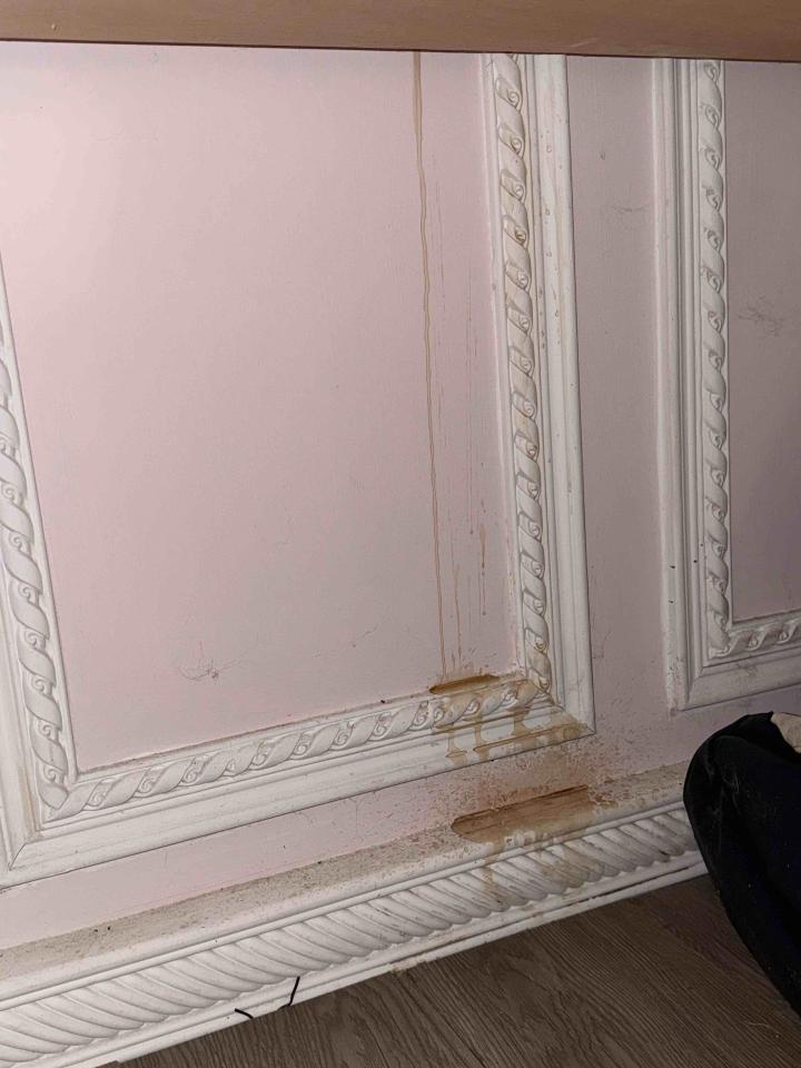 油漆工程案件圖片