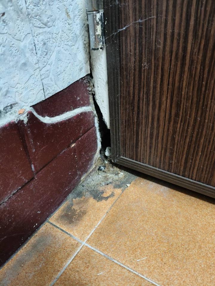 壁癌處理案件圖片