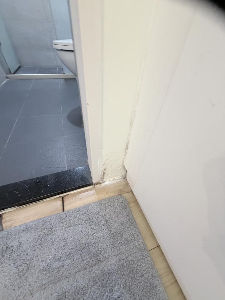 壁癌處理案件圖片