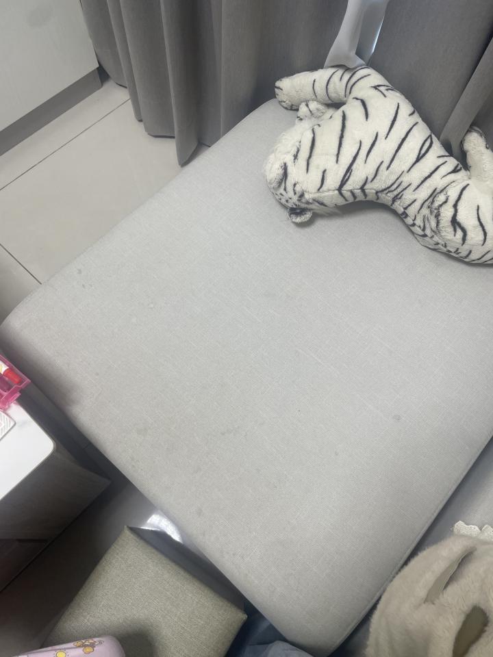 沙發清潔案件圖片