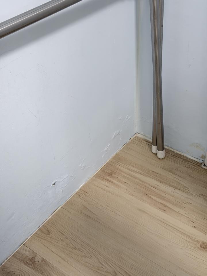 壁癌處理案件圖片