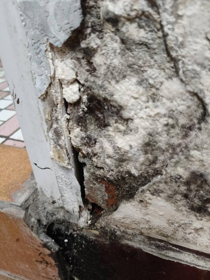 壁癌處理案件圖片