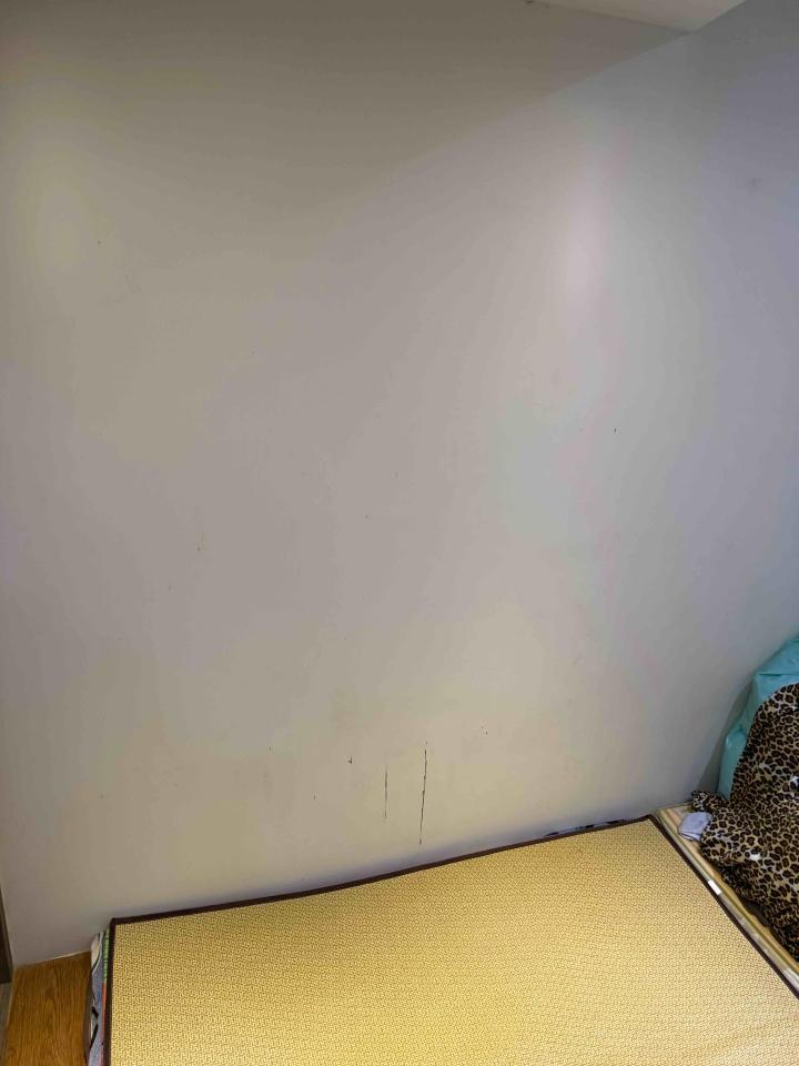 木工施工案件圖片