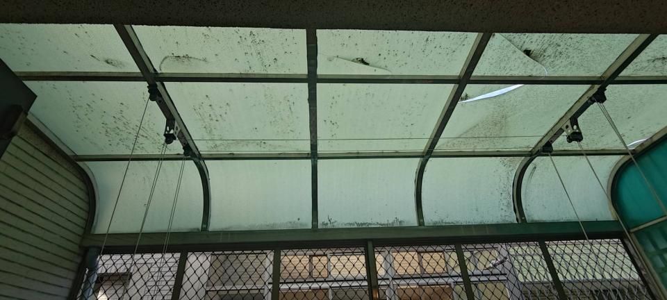 採光罩案件圖片