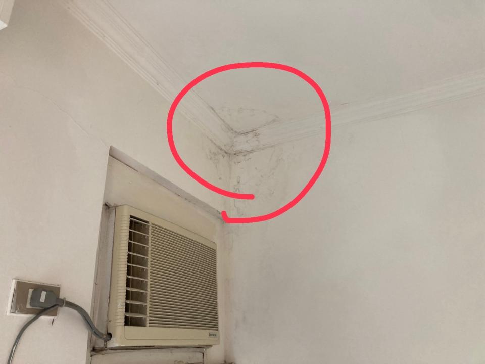 壁癌處理案件圖片