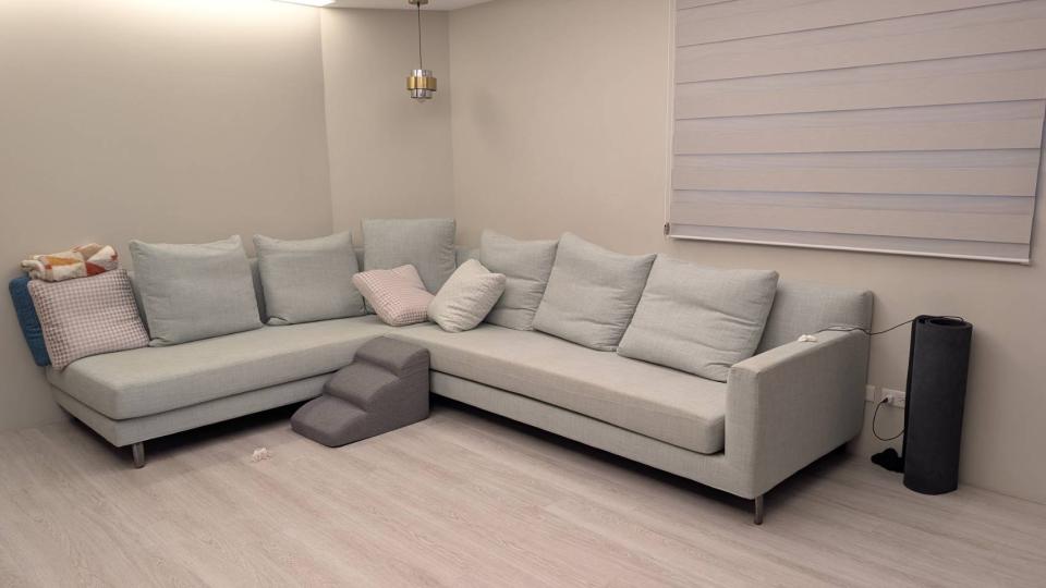 沙發清潔案件圖片