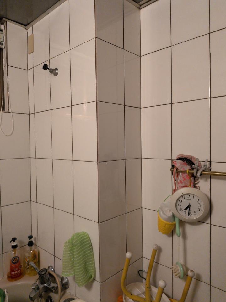 浴室翻新案件圖片