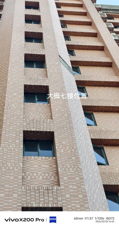 防墜網安裝案件圖片