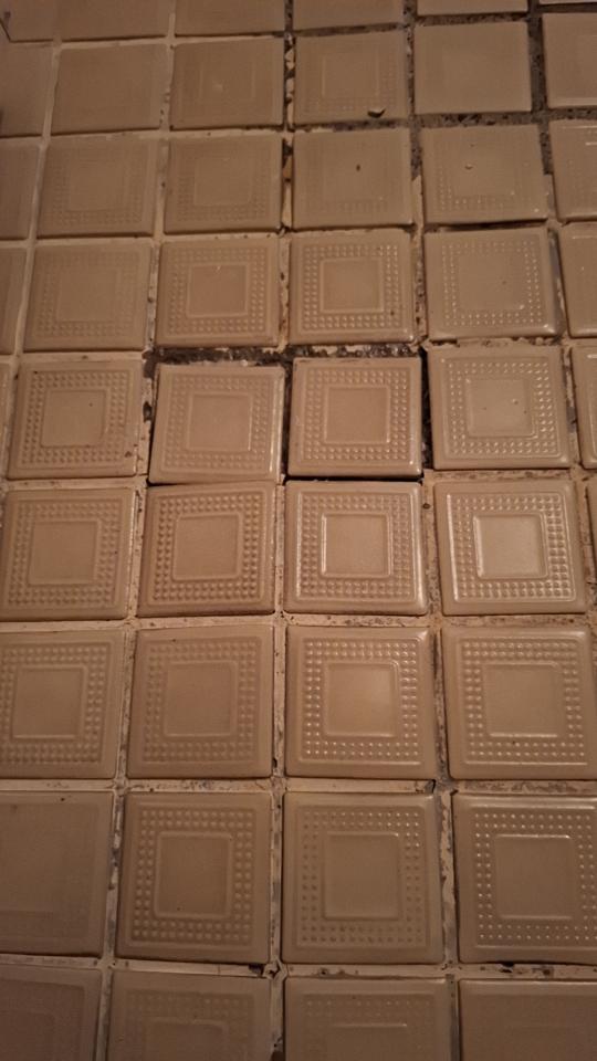 浴室翻新案件圖片