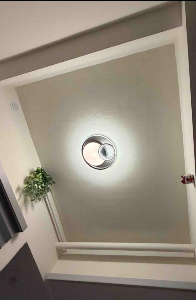 壁畫彩繪案件圖片