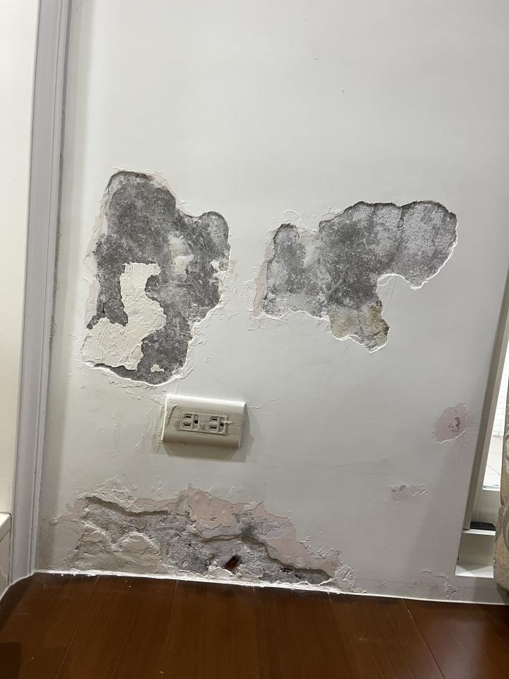 油漆工程案件圖片