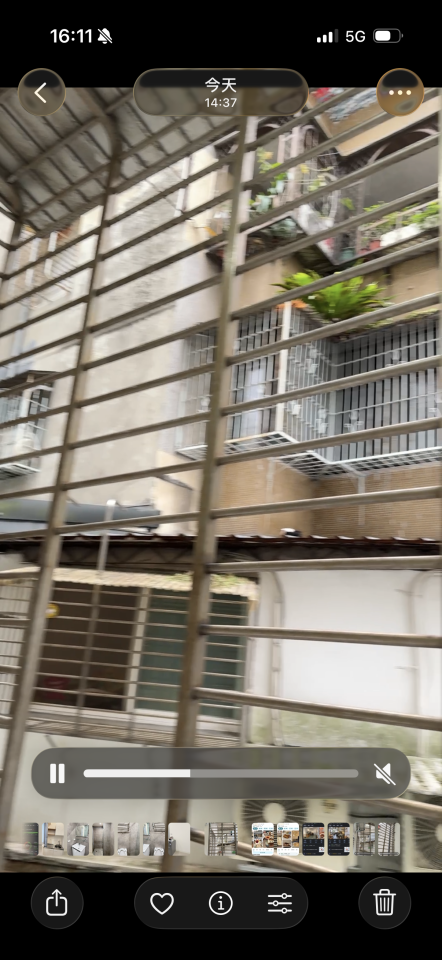 紗窗裝修案件圖片