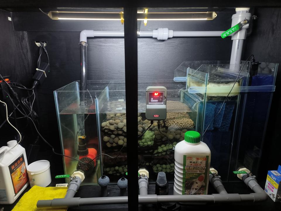 魚缸設計案件圖片