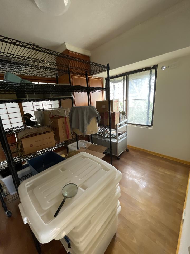 軟裝設計案件圖片