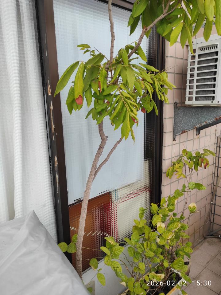 氣密窗案件圖片