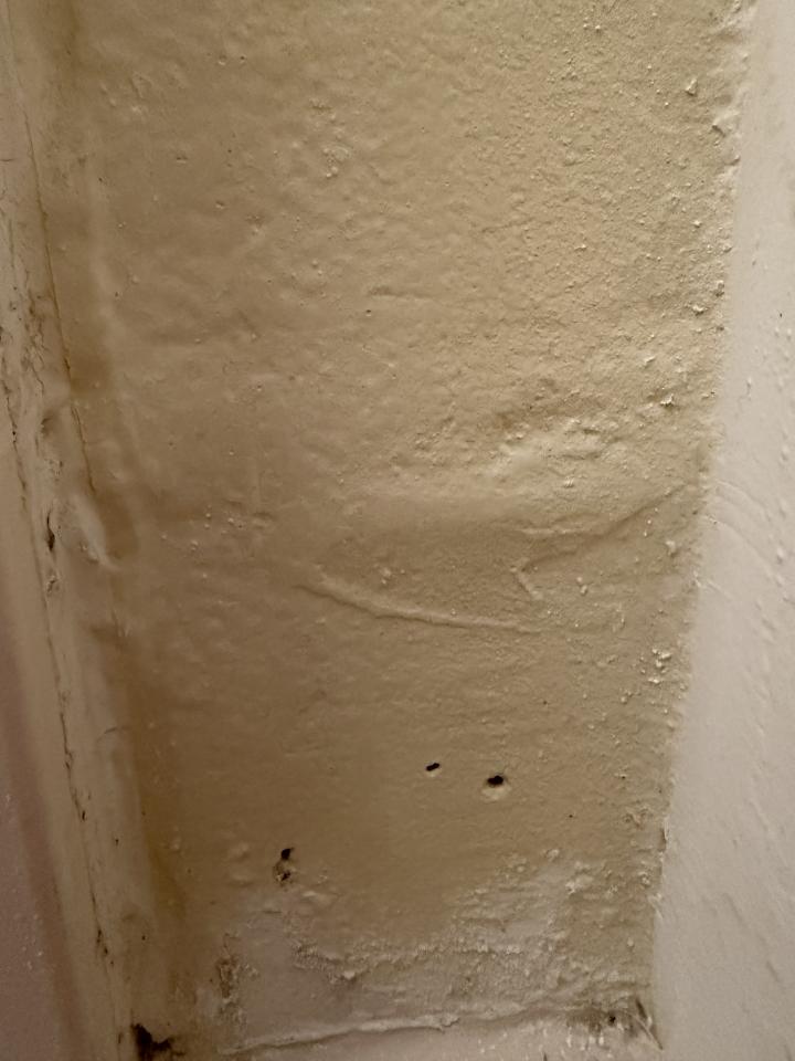 壁癌處理案件圖片