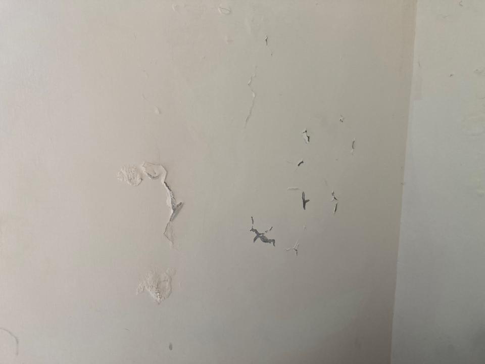 壁癌處理案件圖片