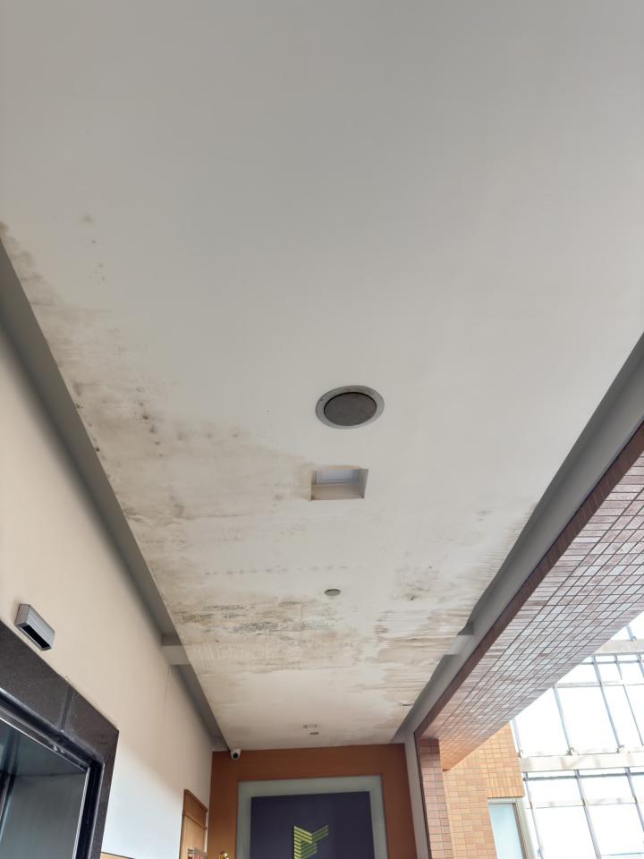 木工施工案件圖片