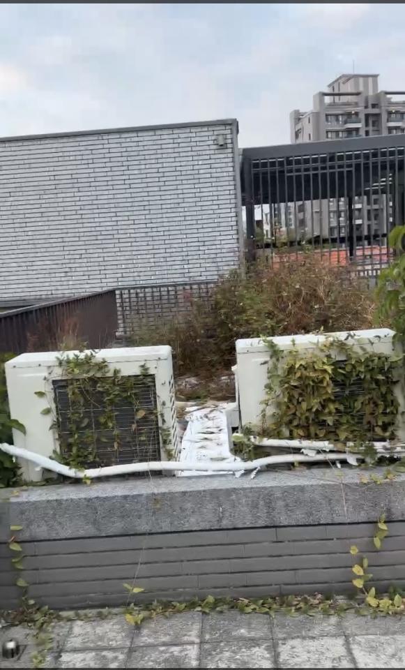 園藝維護案件圖片